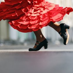 flamenco